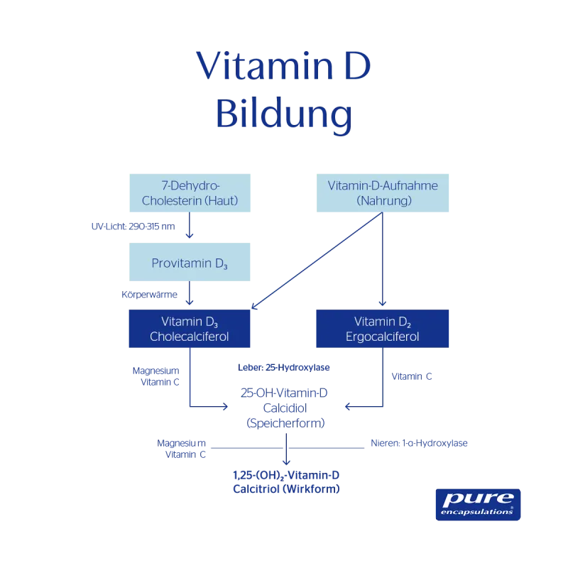 Vitamin D3 - flüssig